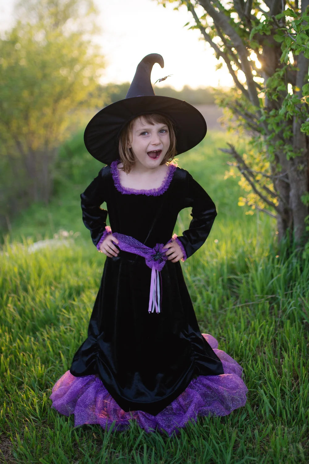 Vera The Velvet Witch: Dress With Hat For Kids 2+, Halloween Costume, Size US 3-4