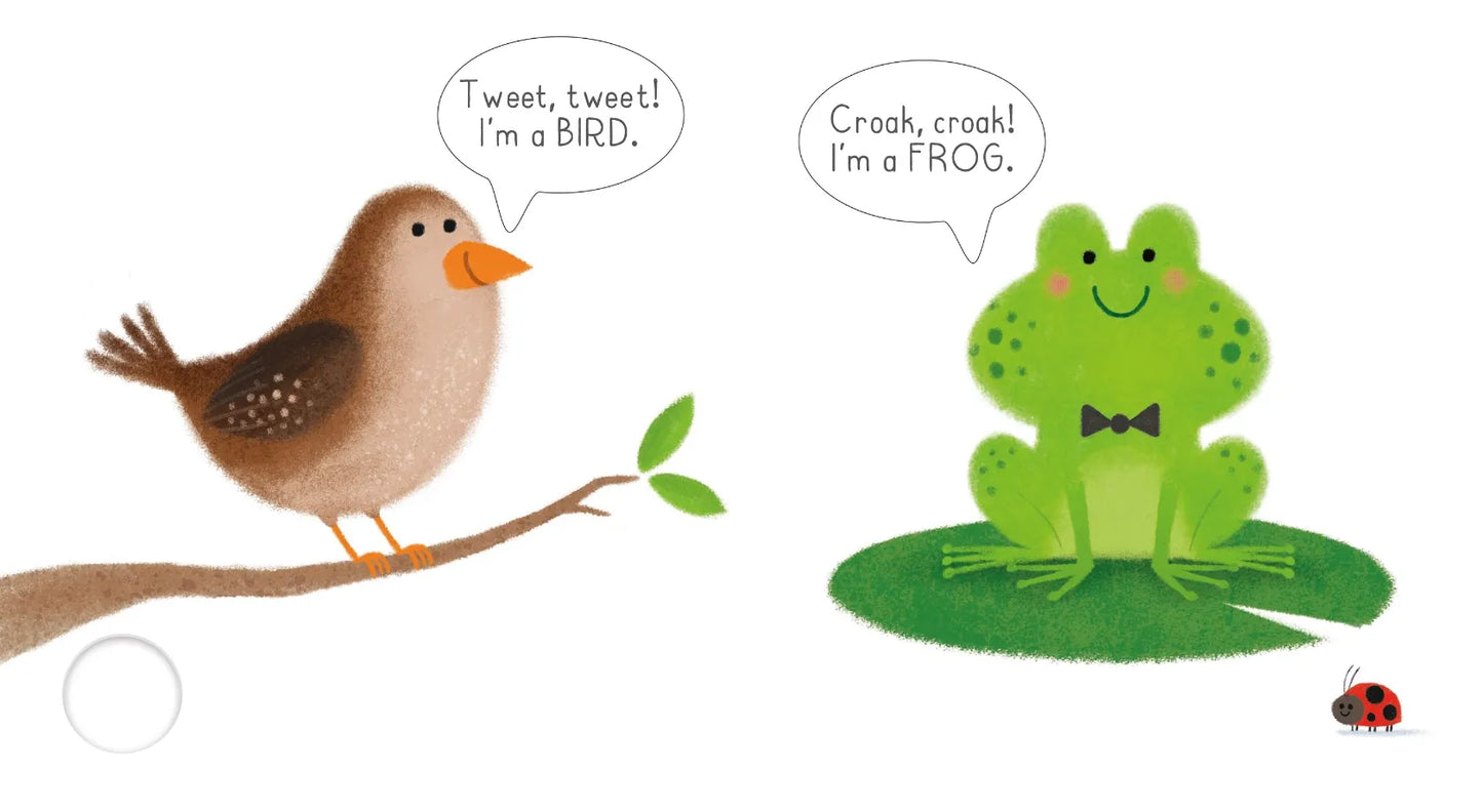 Very First Words Library: Garden, Usborne