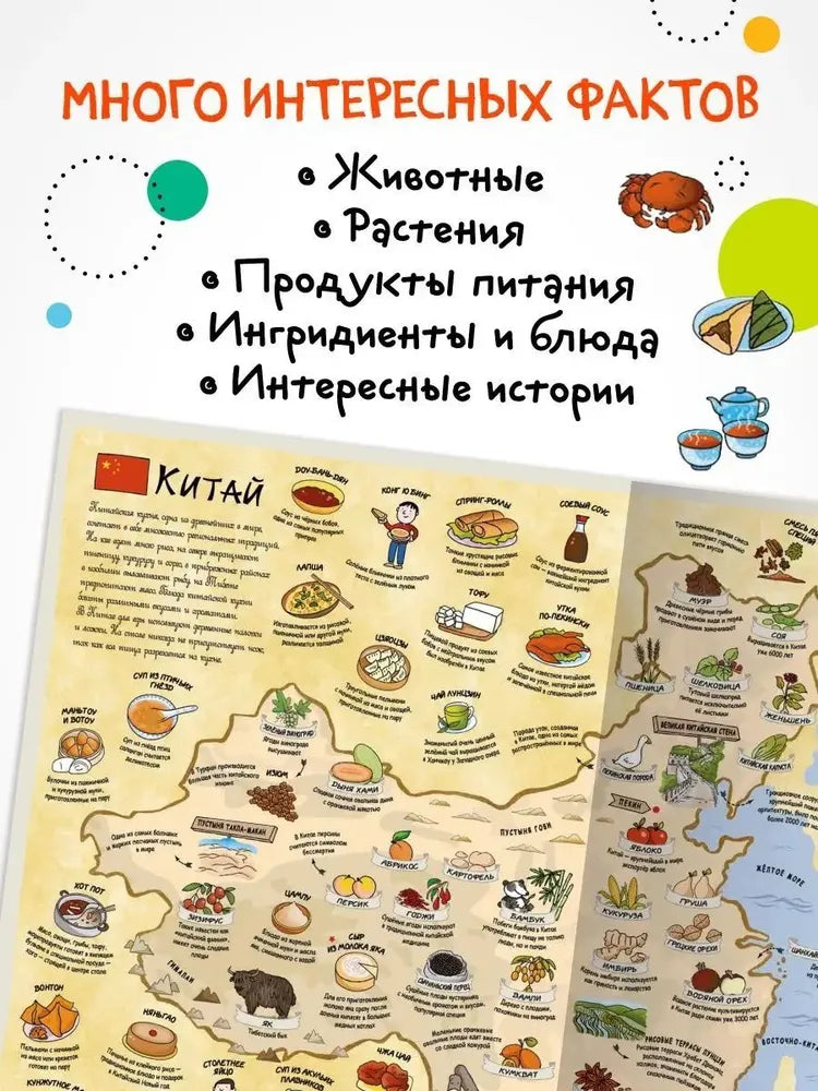 Вкусный атлас, МОЗАИКА-СИНТЕЗ