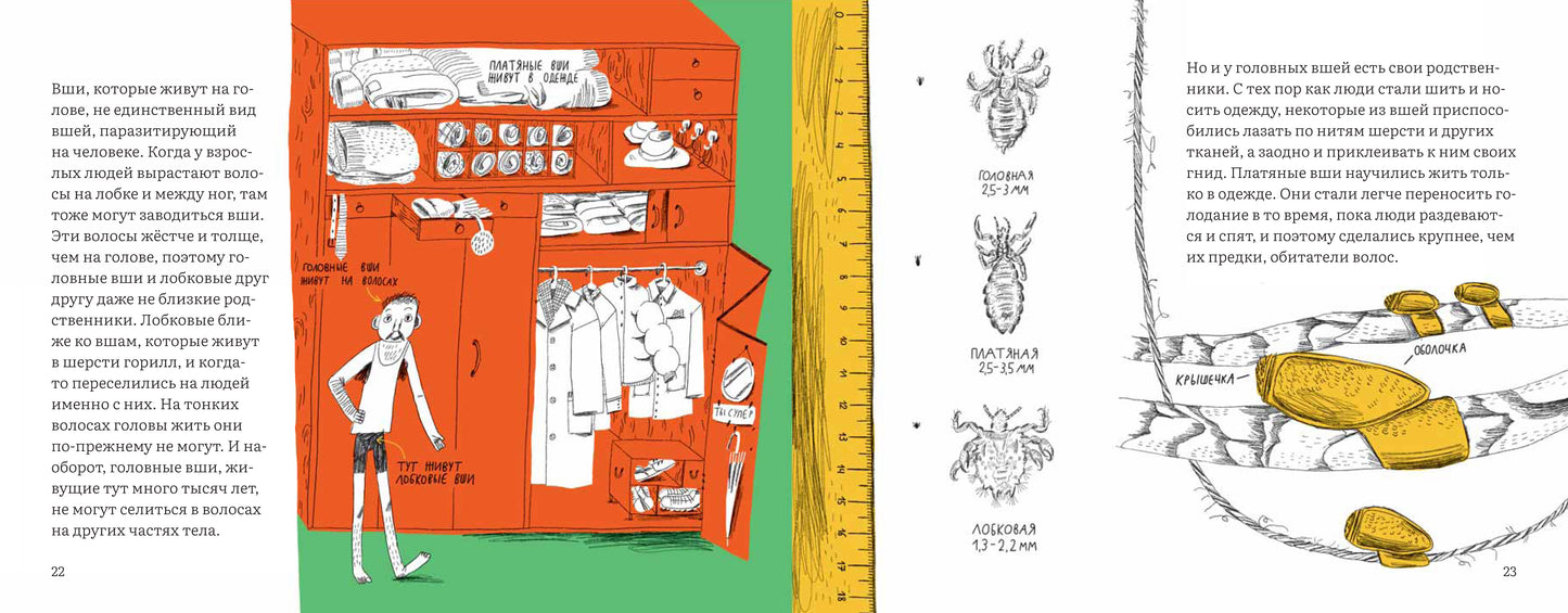 Почему голова чешется?