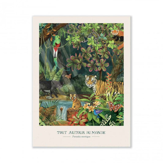 Exotic Paradise poster 30x40cm Tout autour du monde, Moulin Roty