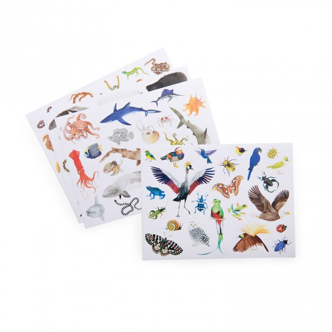 Pack of 78 stickers Tout autour du monde, Moulin Roty