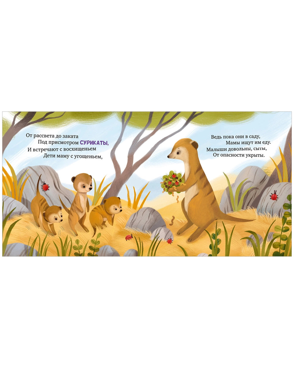 Книжки-картинки: Детский сад для зверят, Юлия Весова