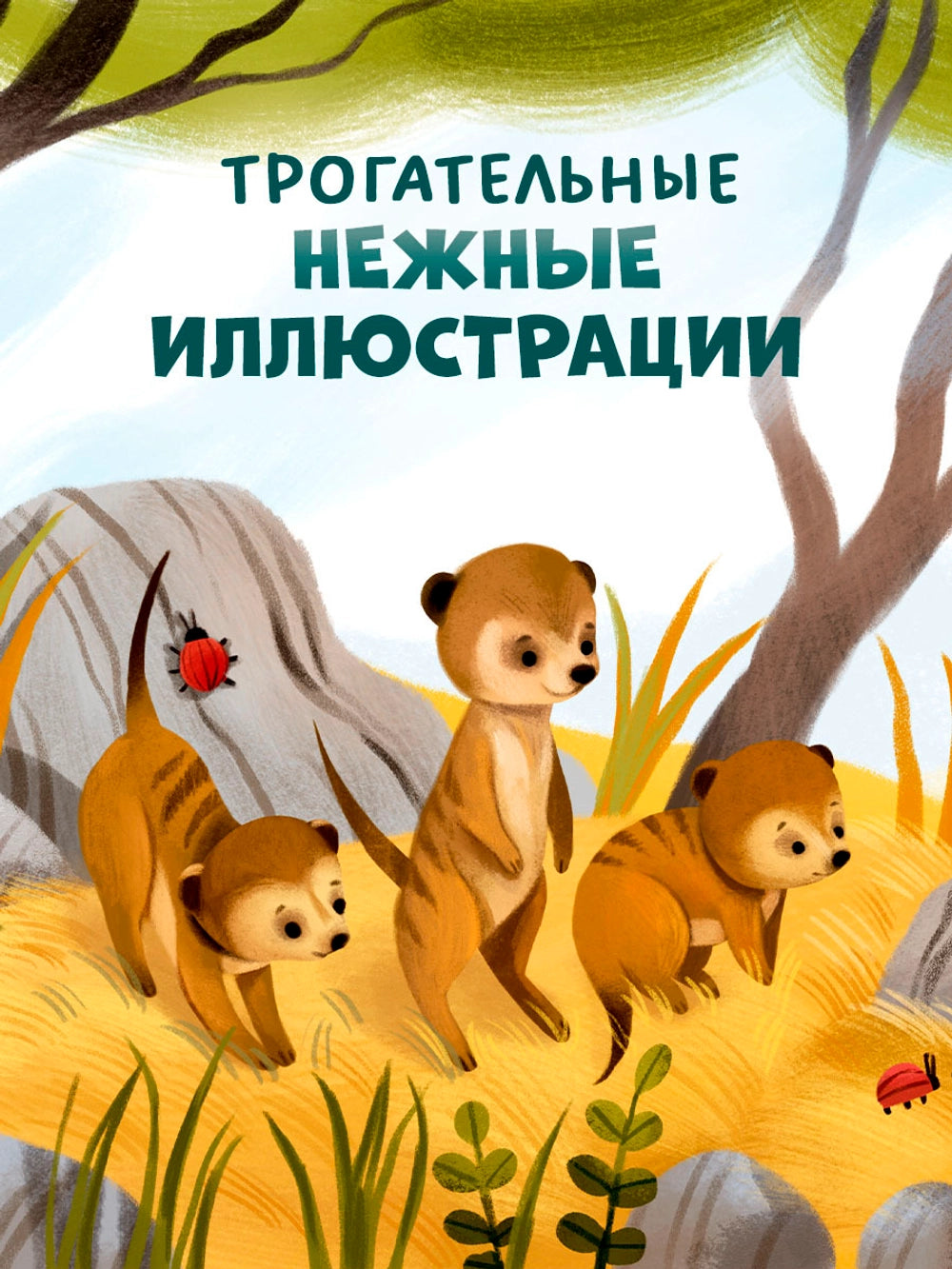 Книжки-картинки: Детский сад для зверят, Юлия Весова