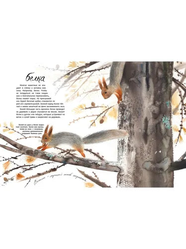 Здравствуй, зима! О. Фадеева