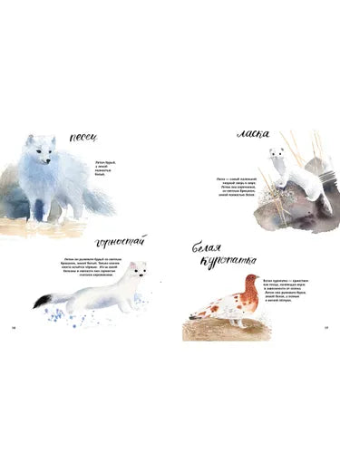 Здравствуй, зима! О. Фадеева