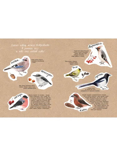 Здравствуй, зима! О. Фадеева