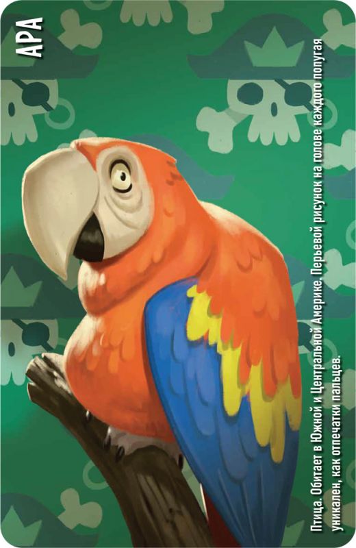 Настольная игра: Similo Зоопарк. Мир Хобби