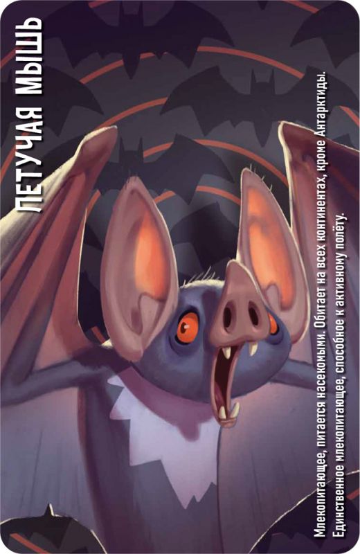 Настольная игра: Similo Зоопарк. Мир Хобби