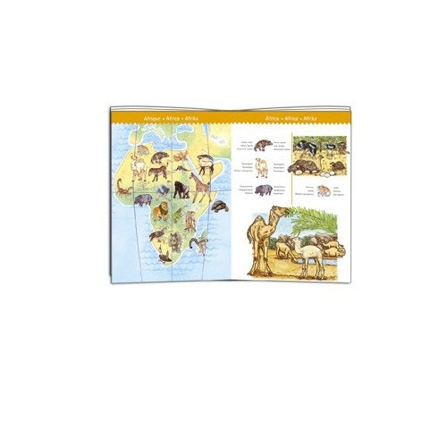 Djeco  Observation puzzles World's animals - 100pcs