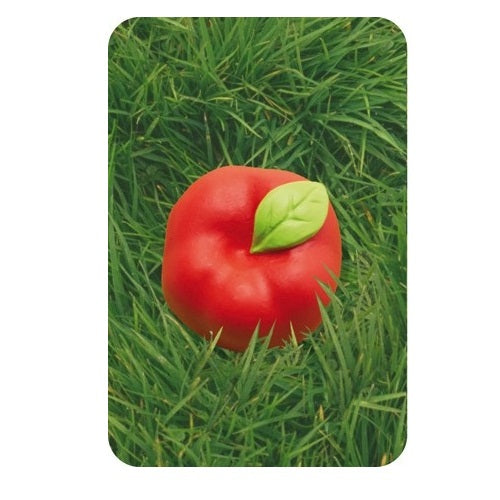 Mosquito, Quick Reflexes Game, 5+, Race To Flick The Bee
