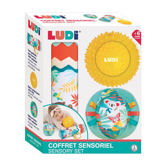 Ludi Jungle sensory box (Tube And Balls)