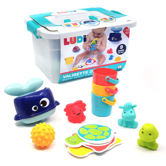 Ludi Bath case