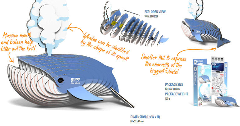 3D puzzle: Blue Whale, EUGY