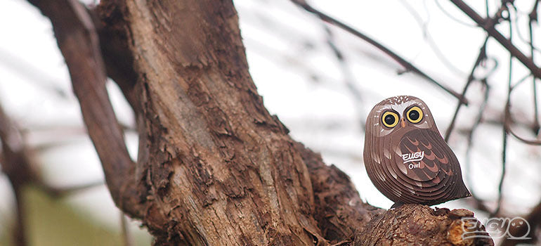 3D puzzle: Owl, EUGY