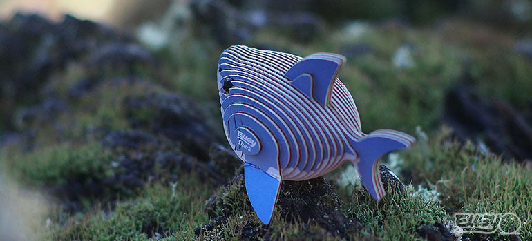 3D puzzle: Shark, EUGY