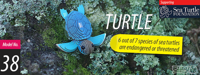 3D puzzle: Turtle, EUGY