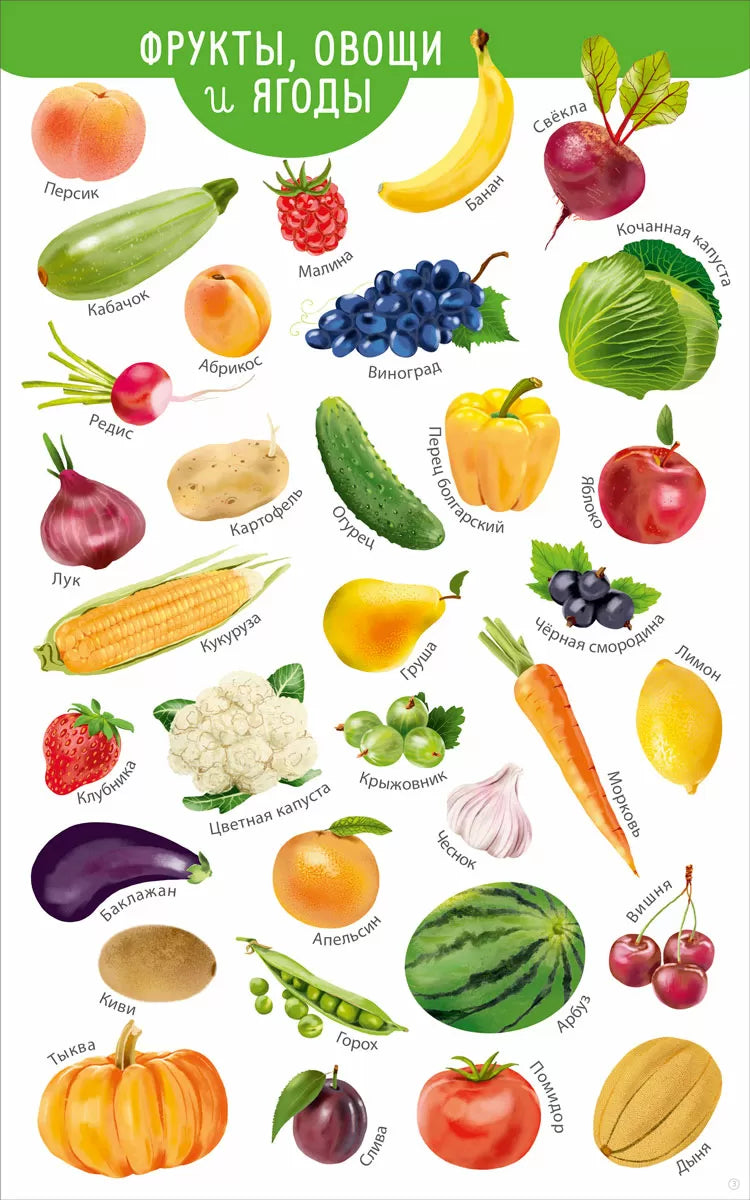 Мои первые развивающие плакаты. Робинс