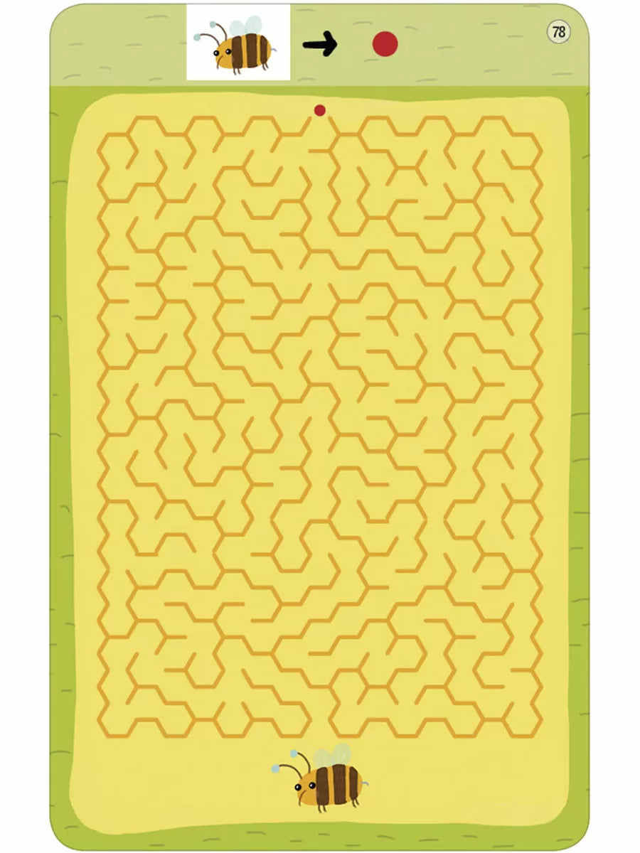 Асборн - карточки. 100 лабиринтов от простых до сложных. Робинс
