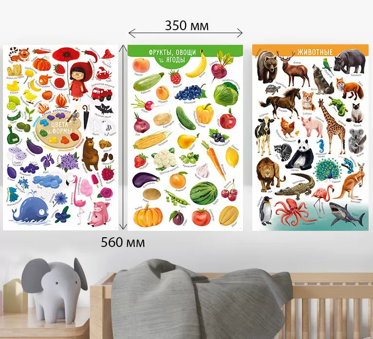 Мои первые развивающие плакаты. Робинс